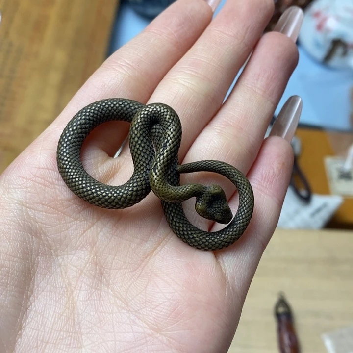 止***正如图所示所拍即所得