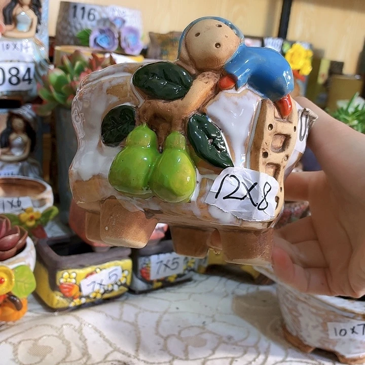 多肉花盆满15包邮