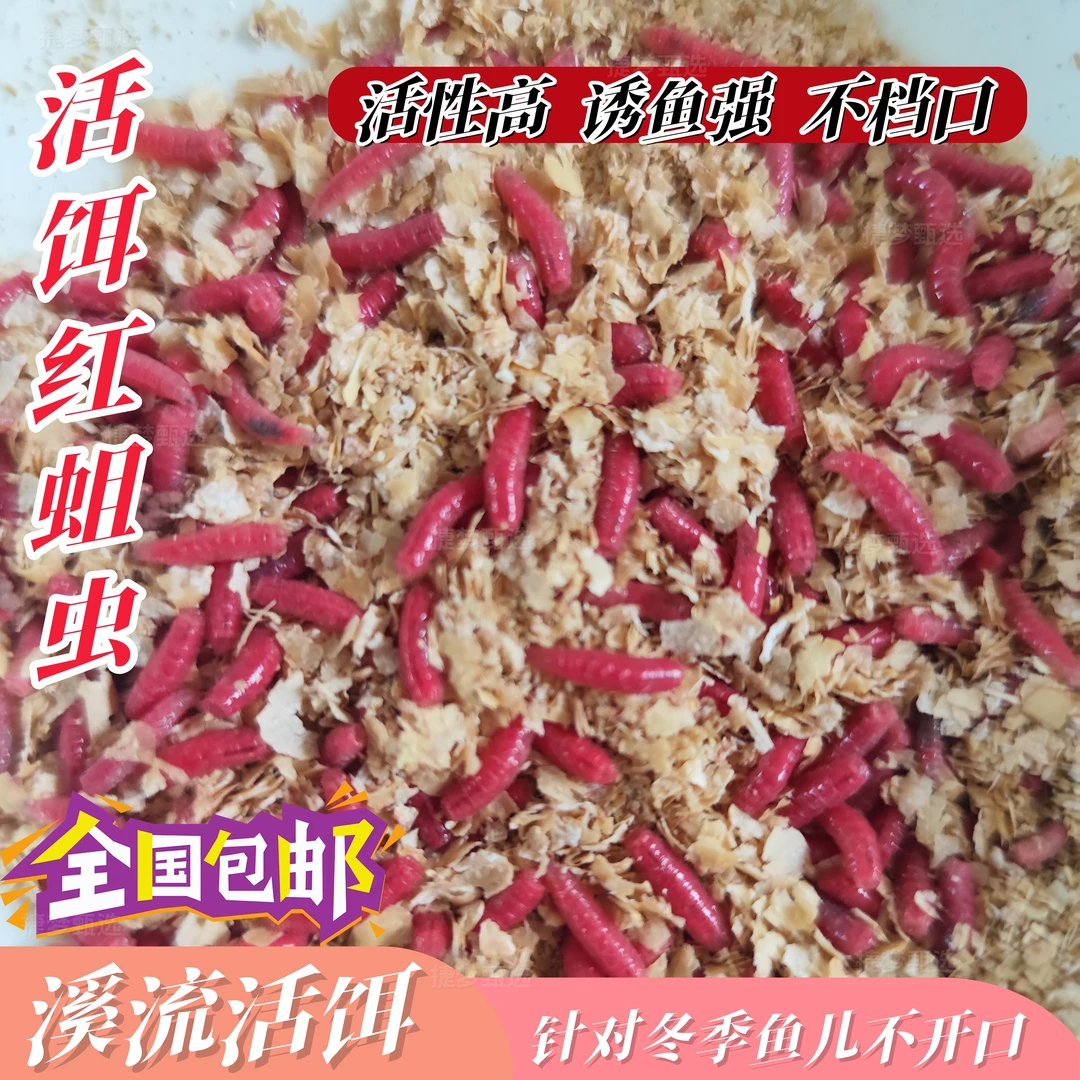 新品小体鱼饵蛋白虫鲜活红蛆虫钓鲫鱼石斑马口溪流湖泊水库野钓