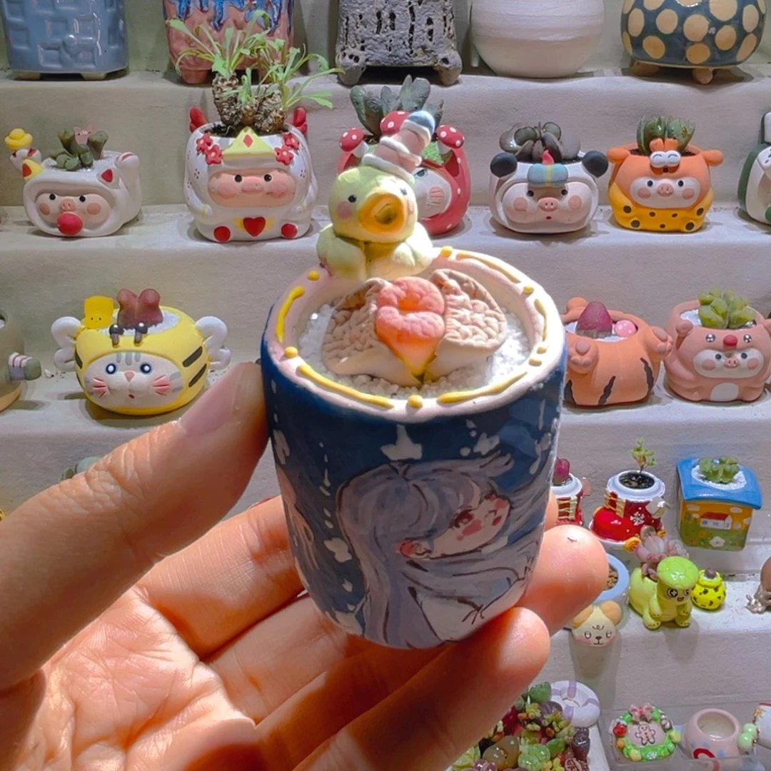 025高端多肉带盆土一套48