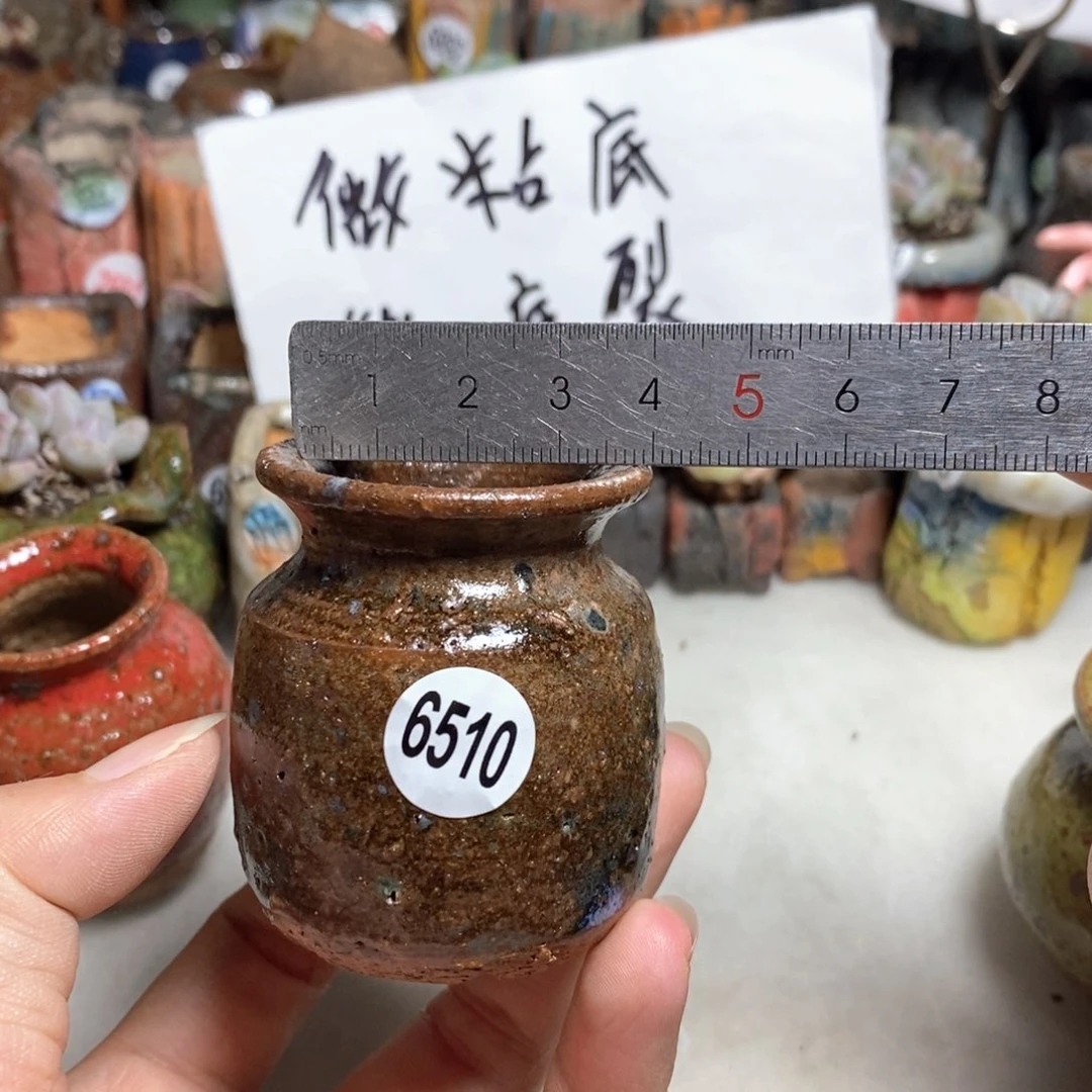 拍5送一个小礼物