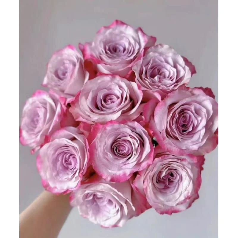 鲜花【气场】家庭同一地址两单顺丰或京东送货上门+送配草1扎