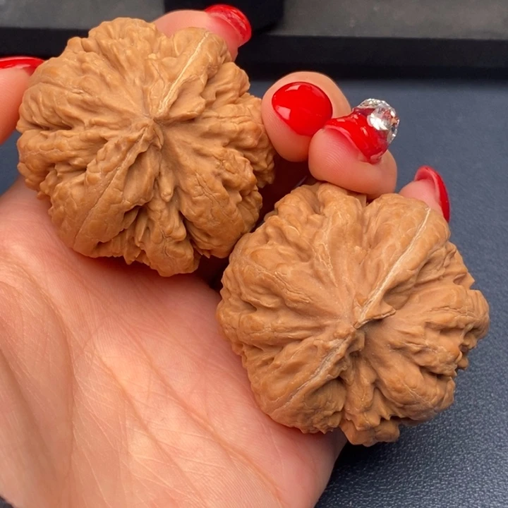 用***4霸王龙全品无刀休