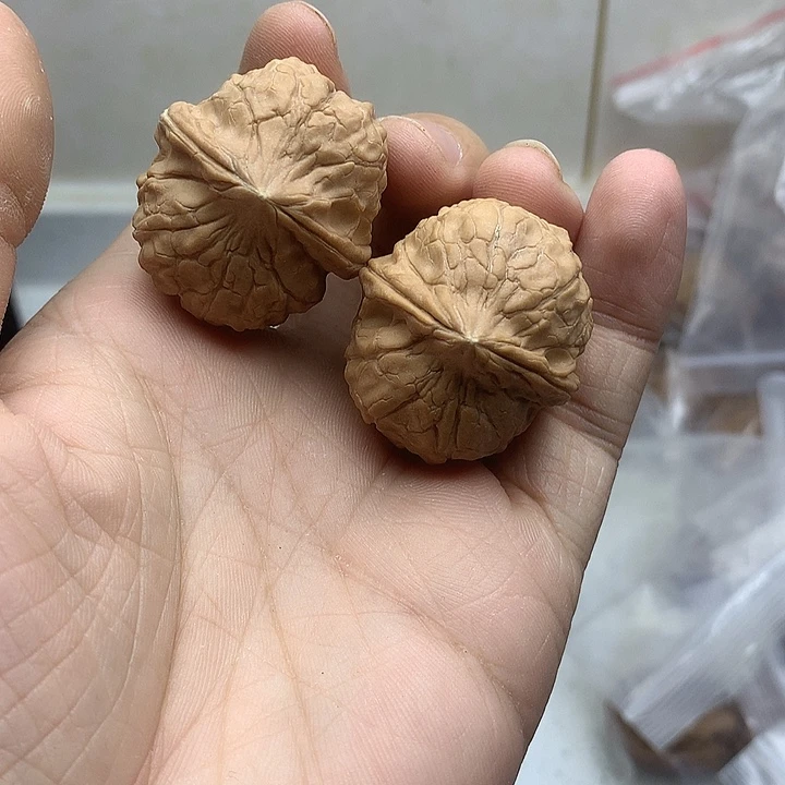 文玩核桃吊坠32龟甲文