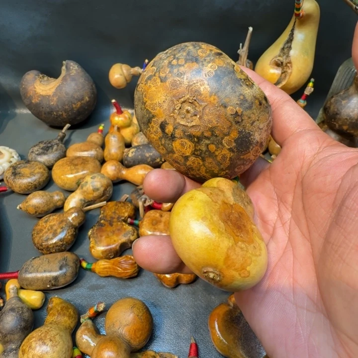 米***果嘎嘎嘎嘎嘎嘎嘎嘎嘎嘎