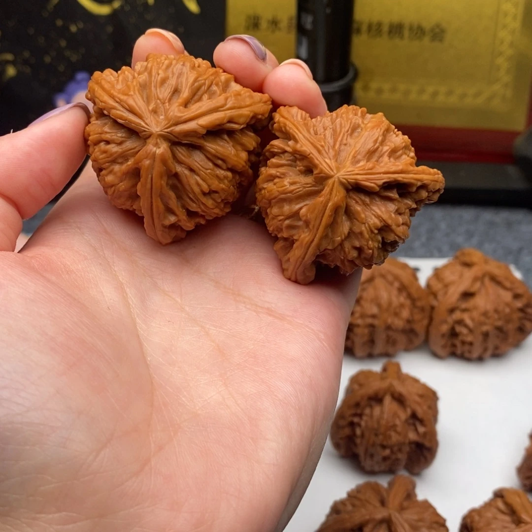 表*白狮子1111111111