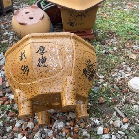 红陶紫砂花盆盆景盆栽