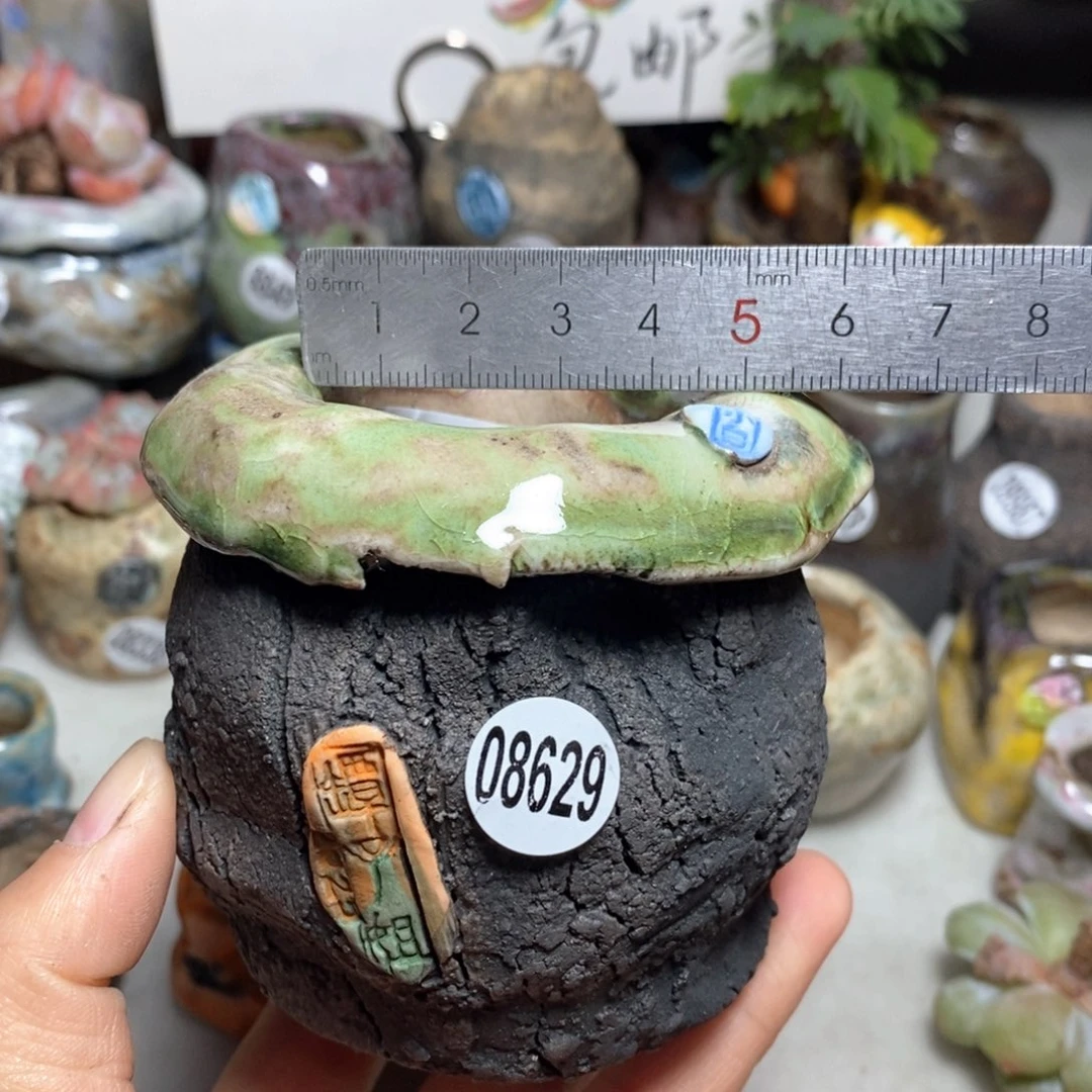 花盆拍3送一个小礼物