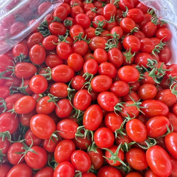 玲珑小番茄 分装 约2斤 顺丰包邮