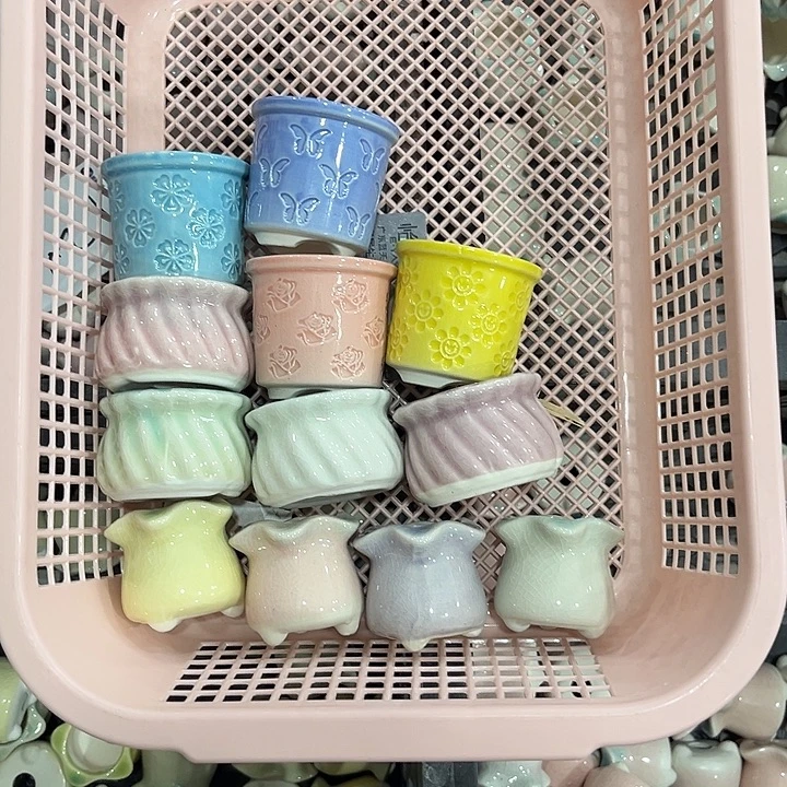 福利价陶瓷多肉拼盘