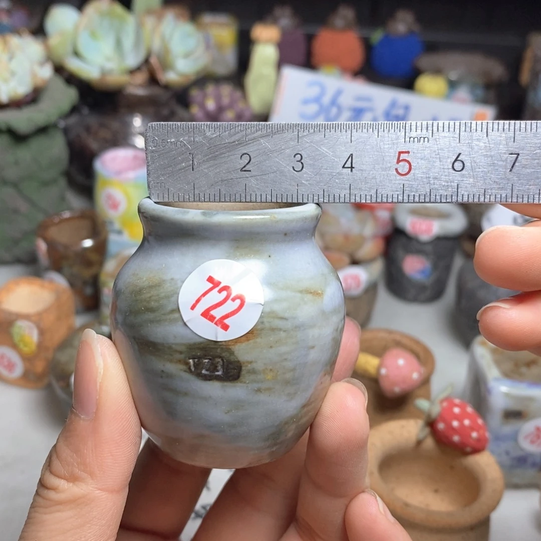 拍5送一个小礼物