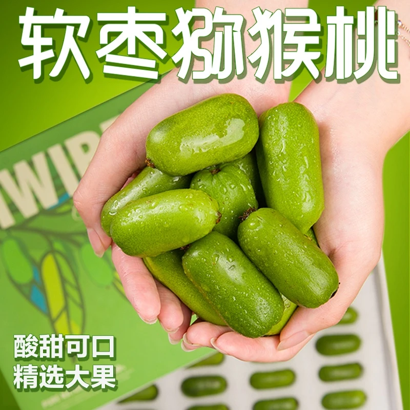 【顺丰包邮】丹东软枣猕猴桃东北软枣小猕猴桃新鲜奇异莓新鲜猕猴桃