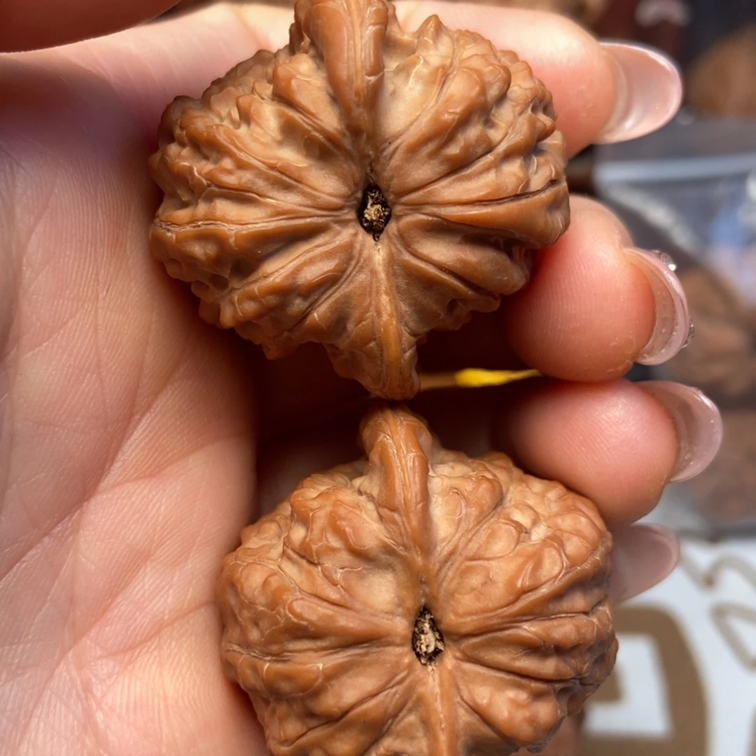 大叶紫檀（黑酸枝木类）血麒麟