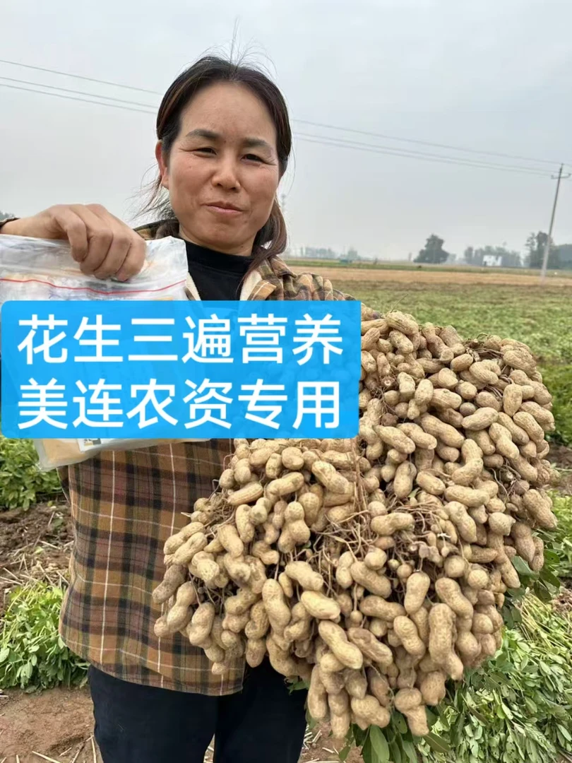 【加强版】花生三遍营养组合丰收