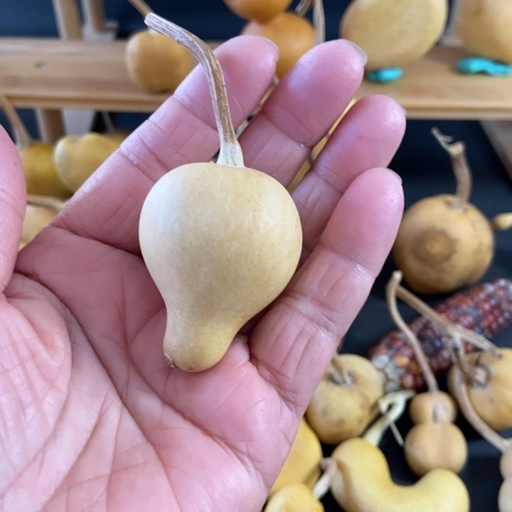 酒**子snznxnsmakzkkdmdsa