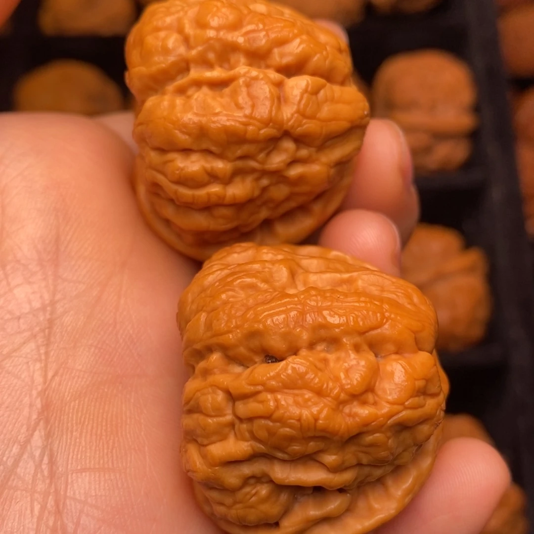 文玩核桃把件秦岭野生核桃