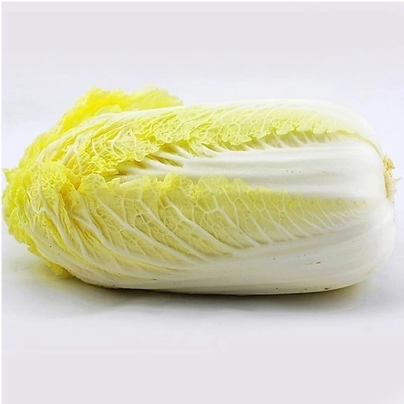 鲜嫩黄心娃娃菜现挖现发时令蔬菜火锅叶菜青菜大白菜酸菜泡菜