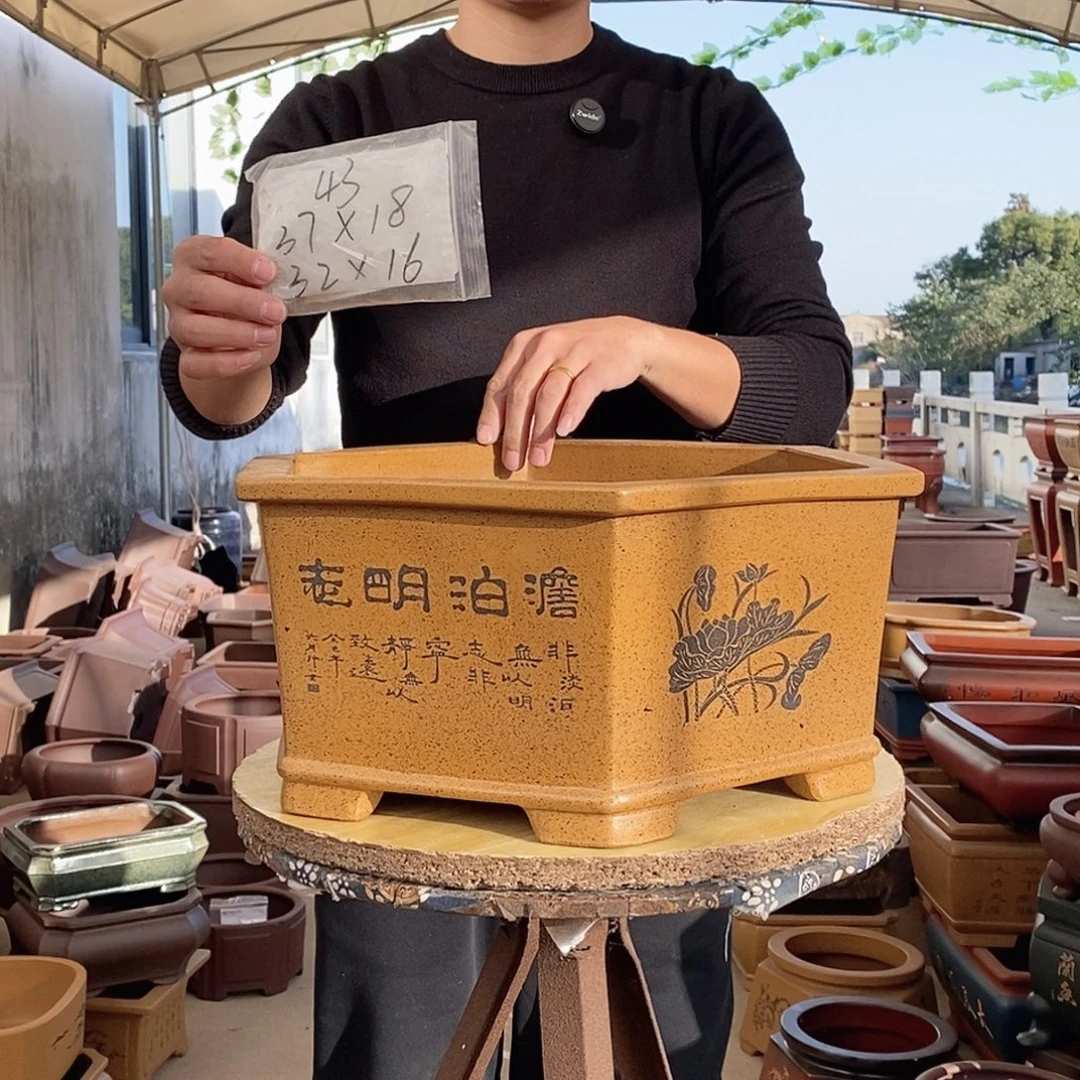 紫砂花盆紫砂花盆