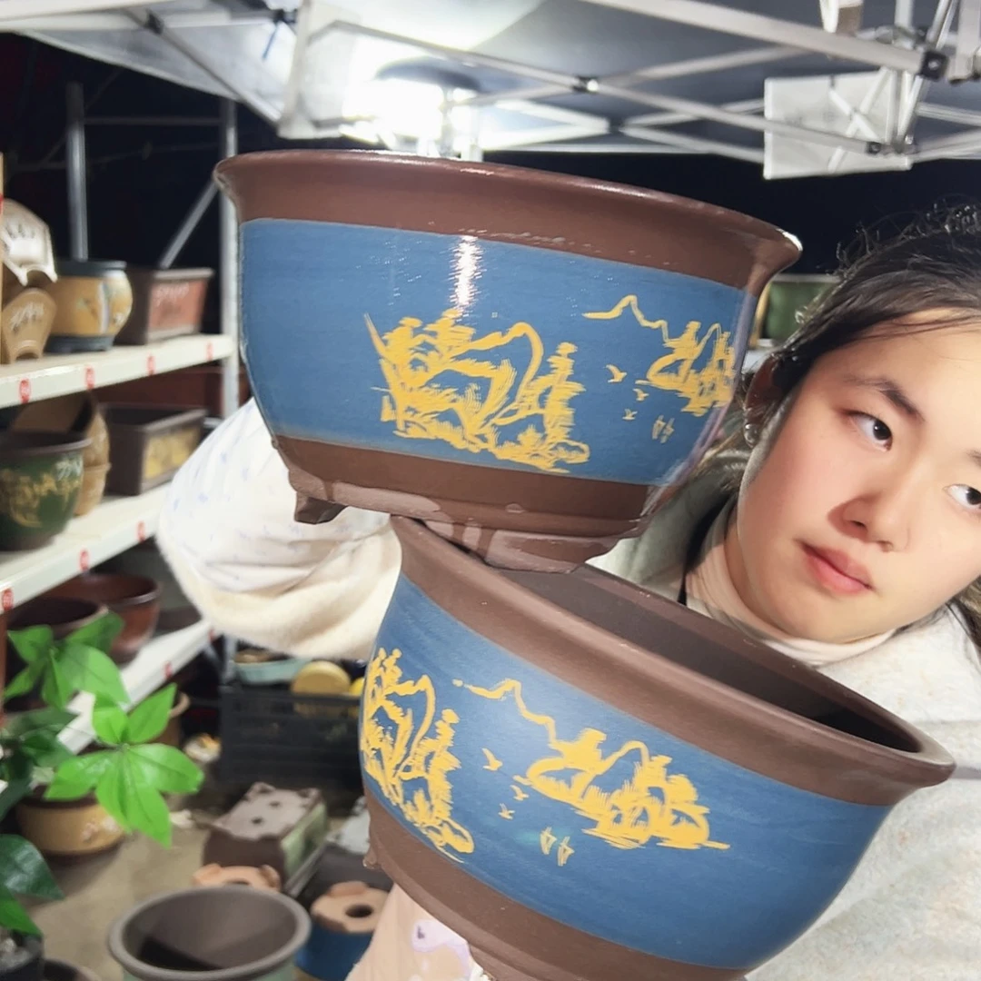 25+25蓝色三角金钟花盆