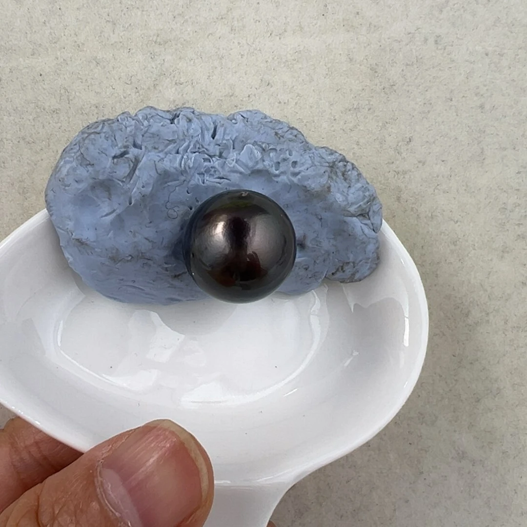 静***逼未镶嵌海水珍珠裸珠