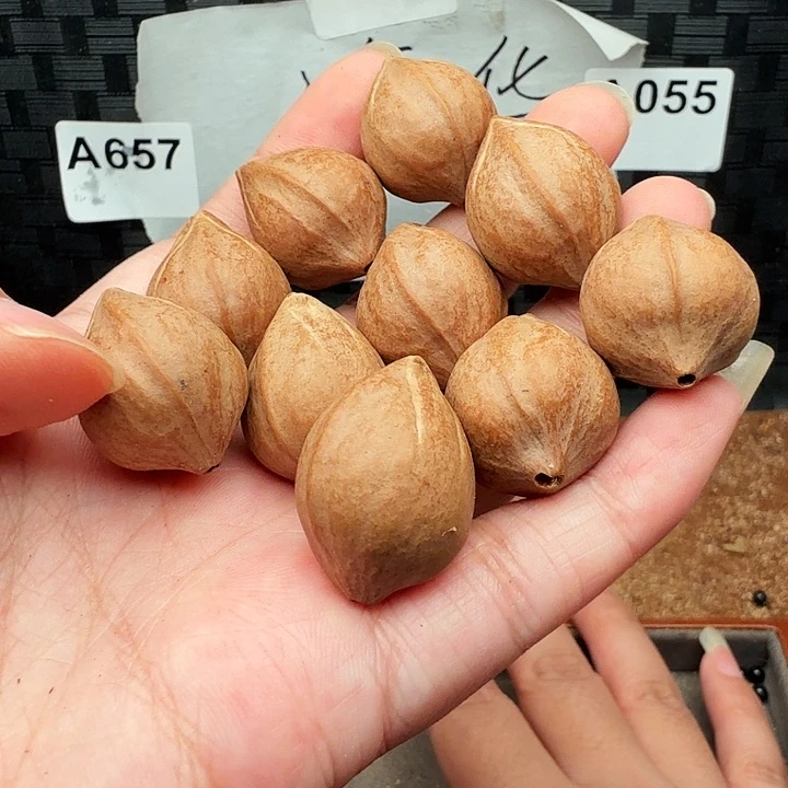 手串/手链橄榄核橄榄
