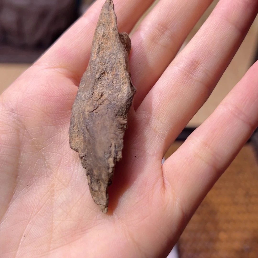 【闪购商品】香榧木?****渣木料越南芽庄红土沉2克