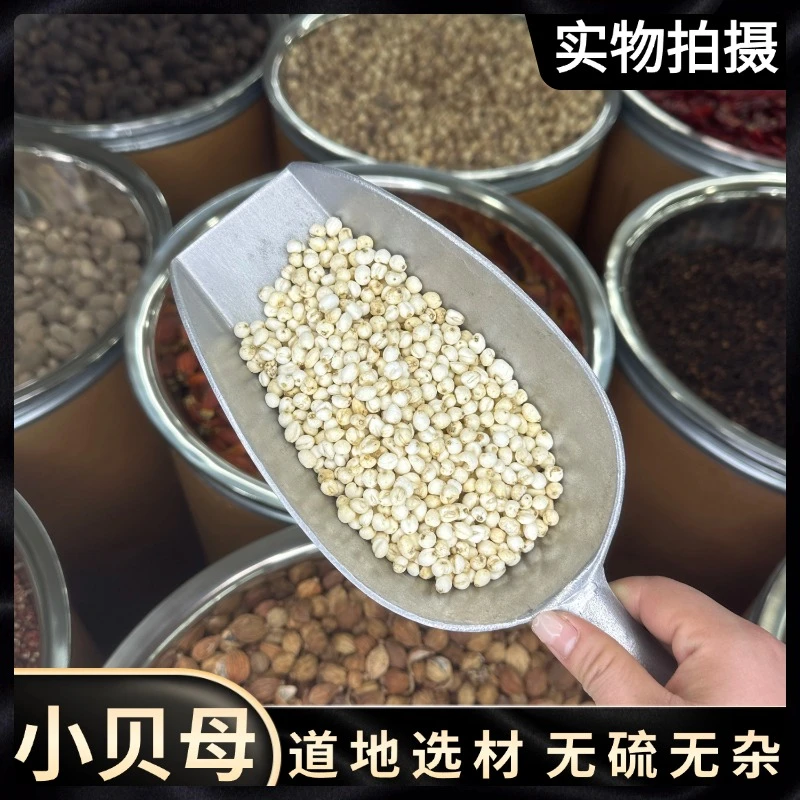 长白山平贝母 小平贝 贝母精选道地选材 煲汤煮水炖雪梨非川贝