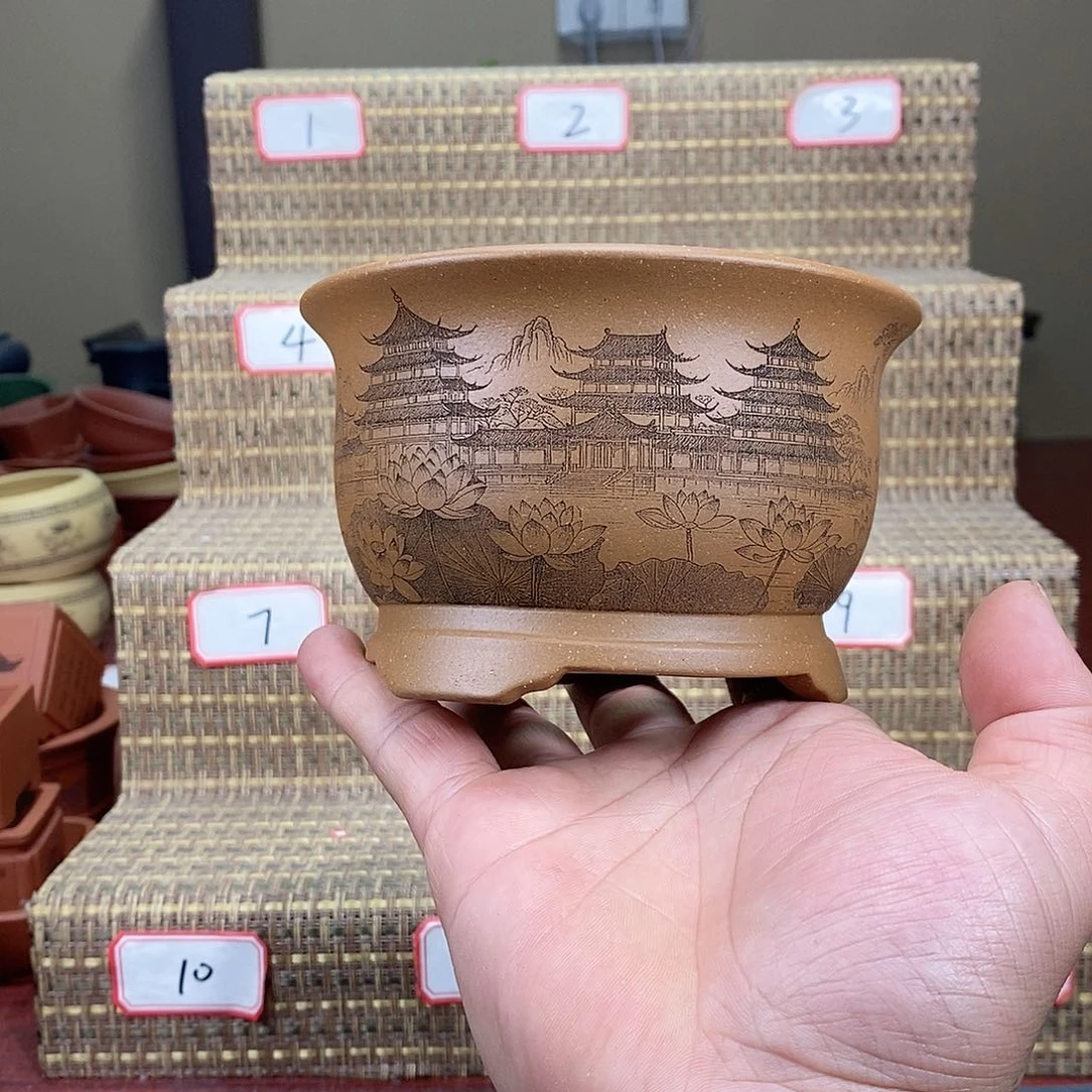 紫砂花盆我在等他