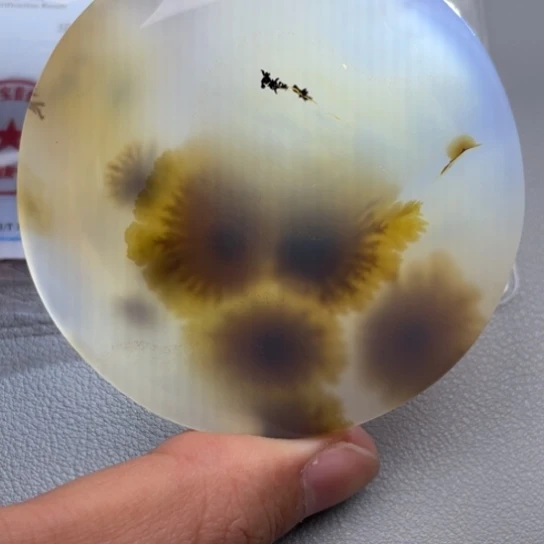 玛瑙/玉髓颈饰未镶嵌玉***人