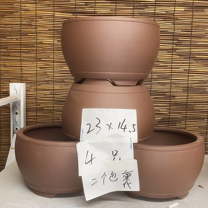紫砂花盆我在外面