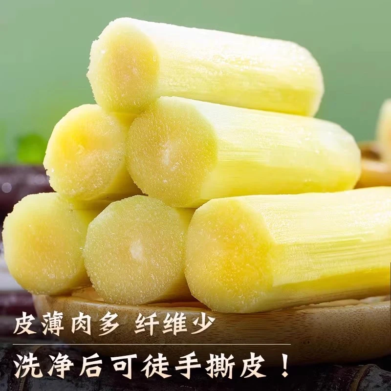 F广西精品黑皮甘蔗精选中段新鲜斤水果脆甜多汁粗应当季果蔗特箱