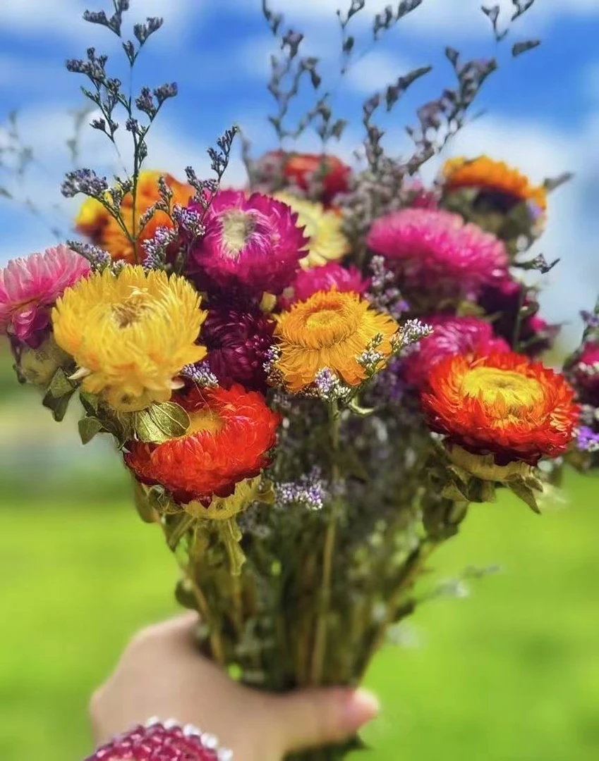 干花干花摆件装饰高档花束耐摆放不浇水客厅摆件高级的花花永生花