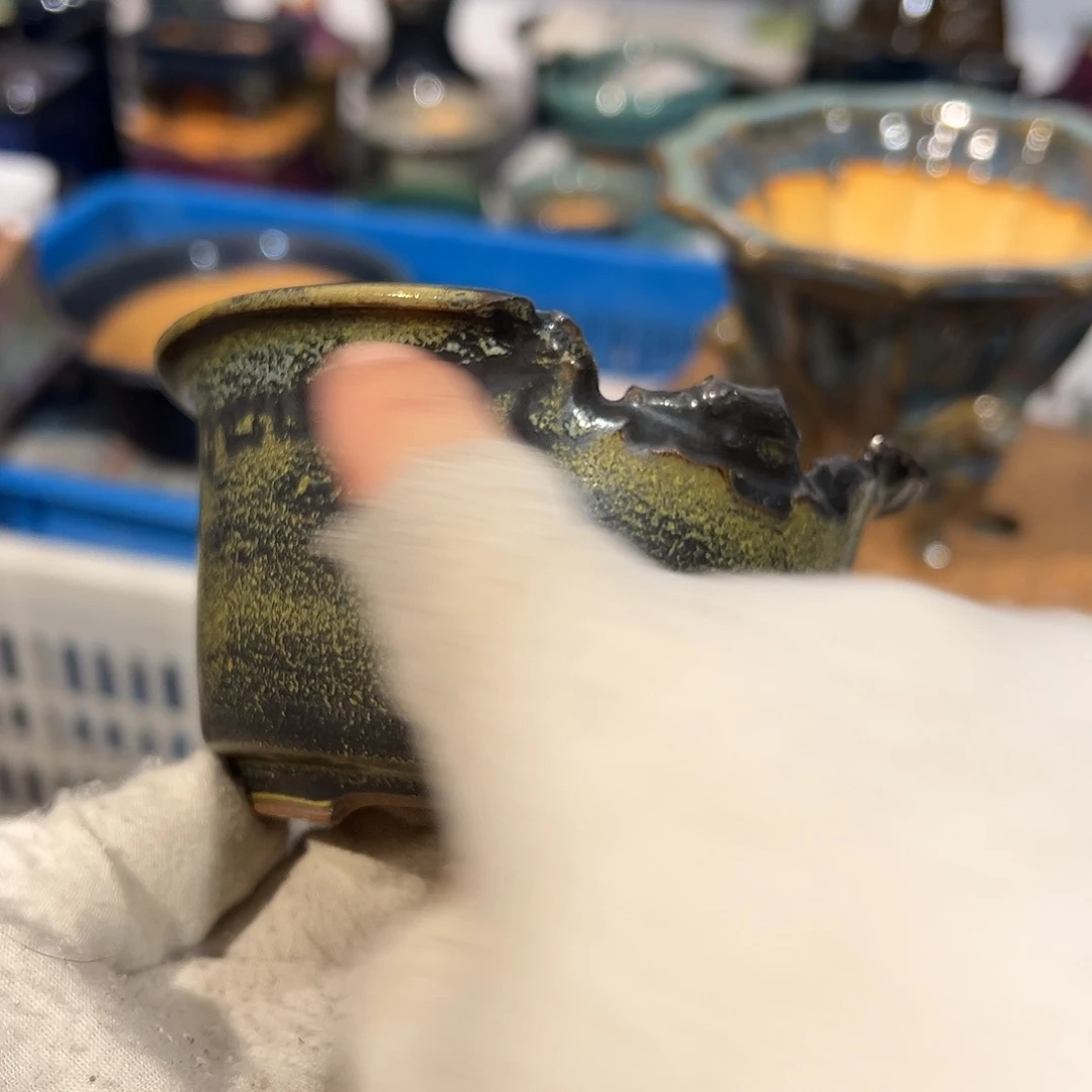 碗觉象原创作品欣赏