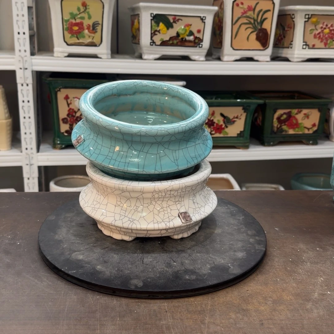 红陶状*郎22222222222