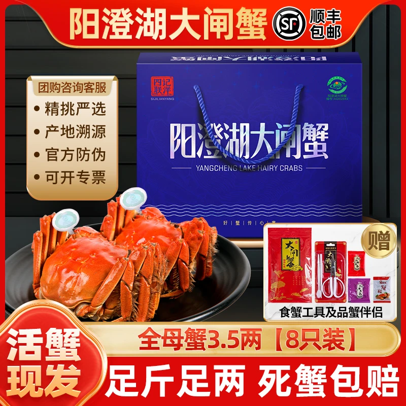 【活蟹】四记联洋阳澄湖大闸蟹全母蟹3.5两8只金标螃蟹塘养