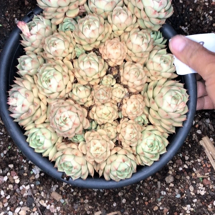 祝**富38////////////////