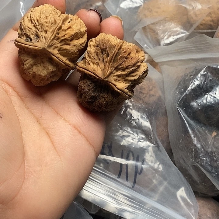 文玩核桃把件云南文玩核桃84号40m