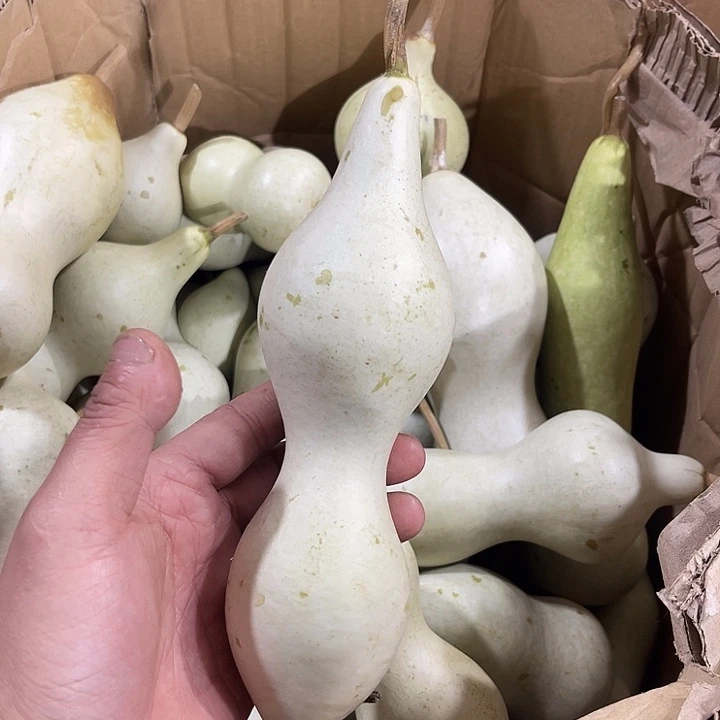 非洲紫檀（红花梨）李***哥