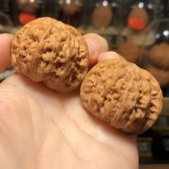 野生小众：第一矮