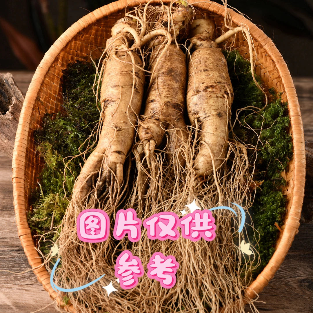 正宗长白山新鲜带土精选人参煲汤泡酒味道浓郁滋补佳品