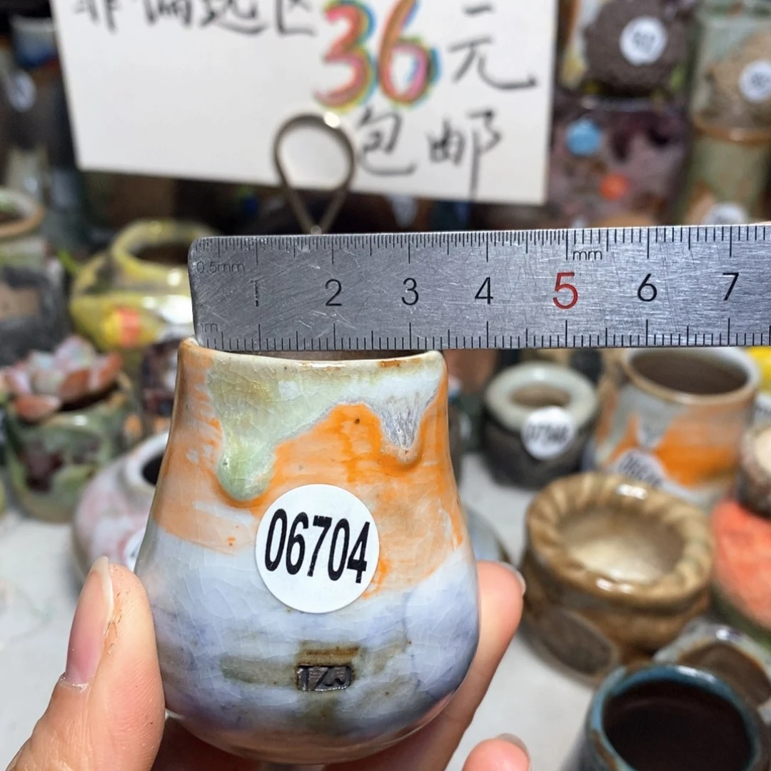 花盆拍5送一个小礼物