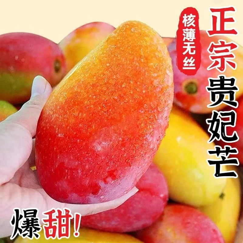 A贵妃芒果新鲜果园采摘香甜多汁当季时令水果产地直发