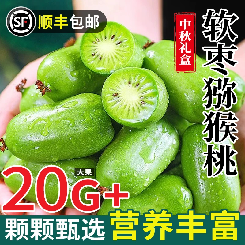 顺丰包邮【放软食用】丹东软枣猕猴桃 奇异果猕猴桃奇异莓礼盒