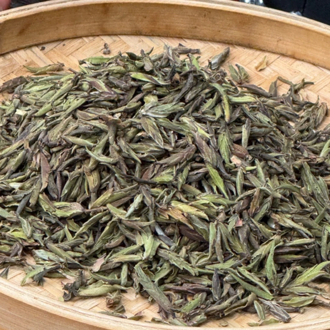 *2025年【大雪山.荒野芽包.春.混采】白茶散茶-11月1日【15】