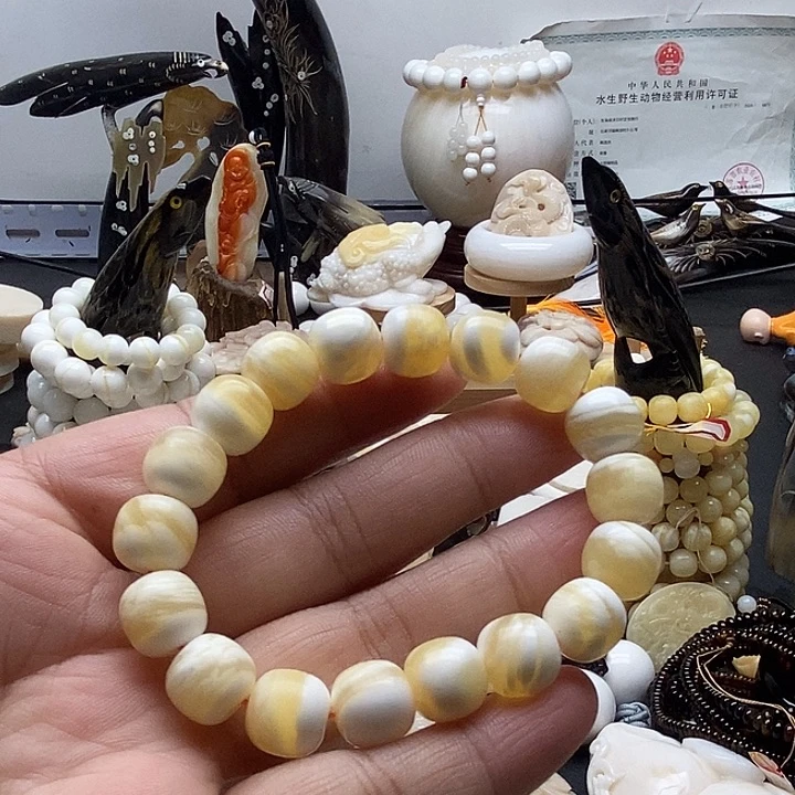 非金属贝壳蜜蜡色全品