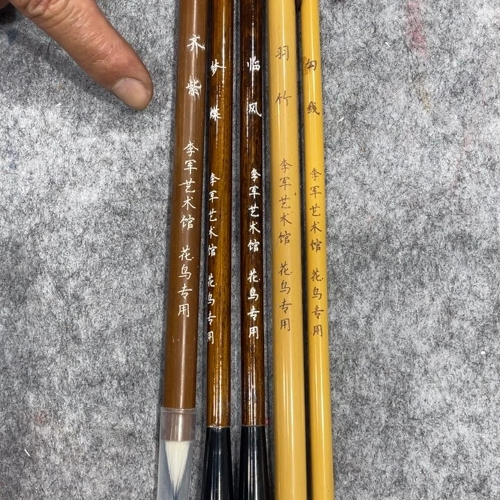 李军老师花鸟专用