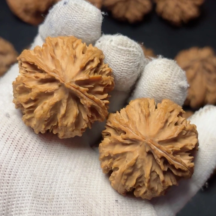 文玩核桃吊坠@**三秦岭野生灯笼8