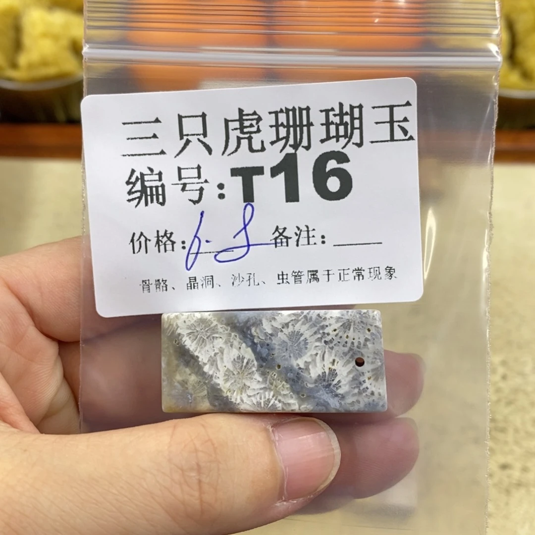 硅化珊瑚（珊瑚玉）1未镶嵌Q*