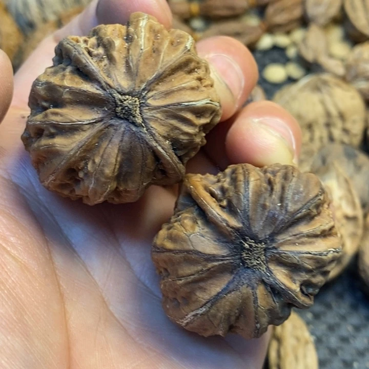 文玩核桃吊坠娜姐196