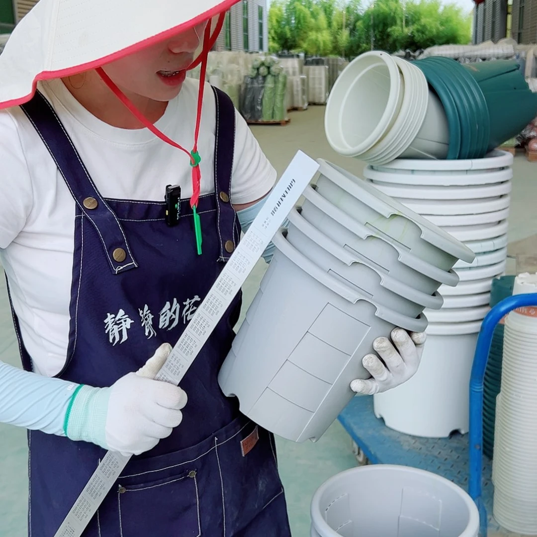 瑕疵玫瑰盆240#灰白6个无托